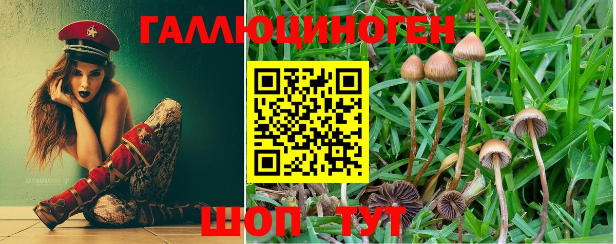 Галлюциногенные грибы мицелий  Псилоцибиновые грибы мицелий  Вход с VPN  Комсомольск-на-Амуре 